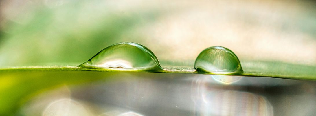 Image by Thomas Kinto for Unsplash. Image shows two water drops on a leave. The drops are green-ish.The background is blurry.