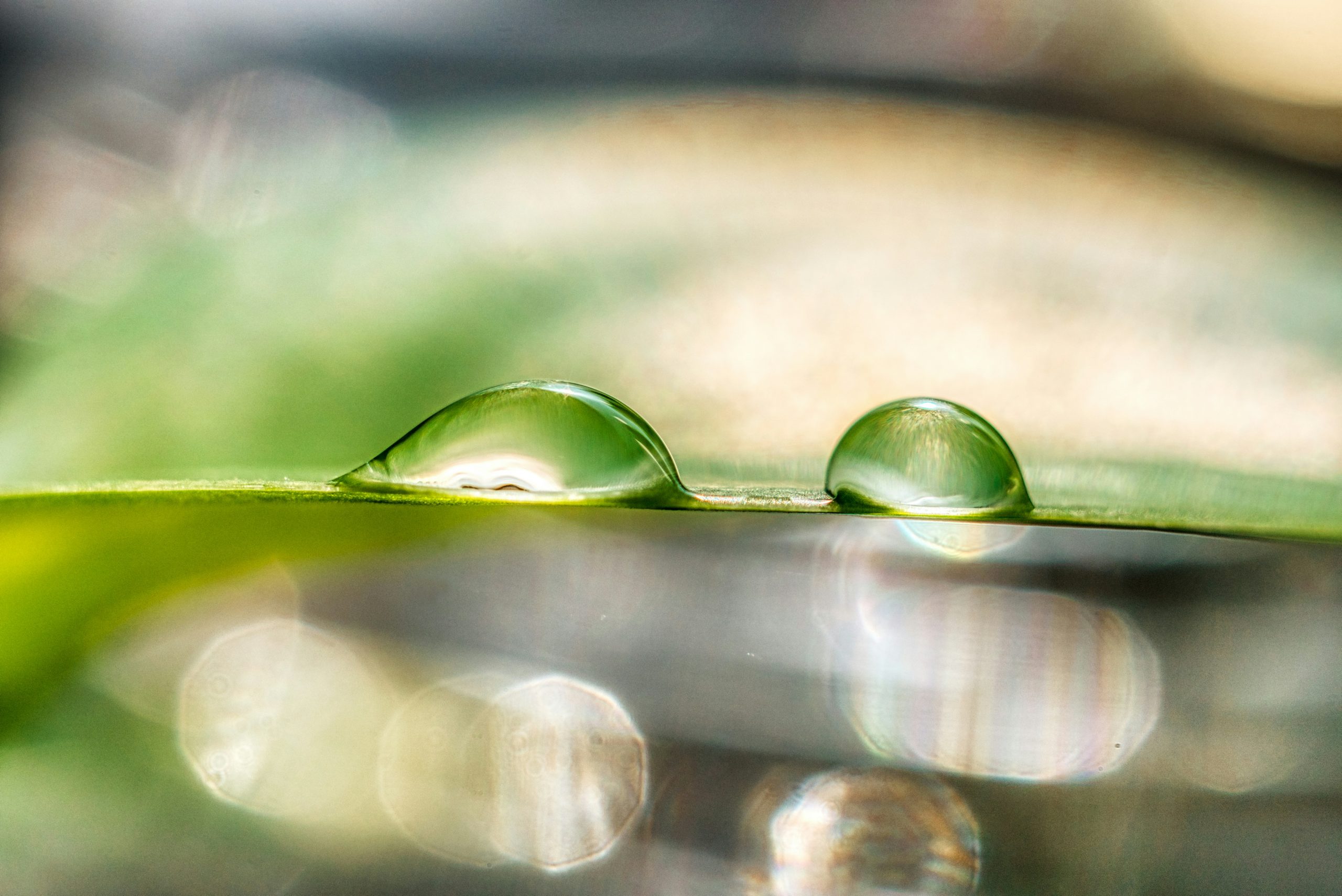 Image by Thomas Kinto for Unsplash. Image shows two water drops on a leave. The drops are green-ish.The background is blurry.